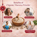 Organic Mucuna Powder 