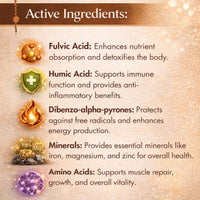Shilajit Premium Extract Powder
