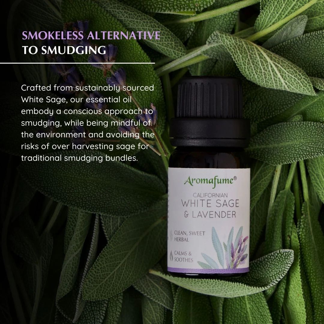 White Sage and Lavender diffuser oil bottle 10ml