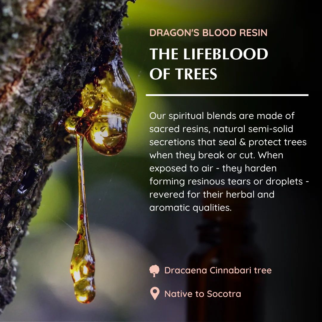 Dragon’s Blood essential oil bottle 10ml with packaging