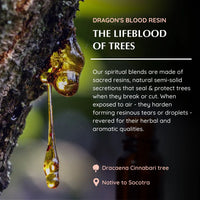 Dragon’s Blood essential oil bottle 10ml with packaging