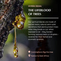 Amber glass bottle of Aromafume Myrrh Essential Oil Diffuser Blend