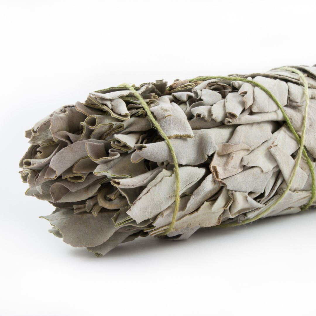 Large 22 cm white sage smudge stick bound with cotton twine
