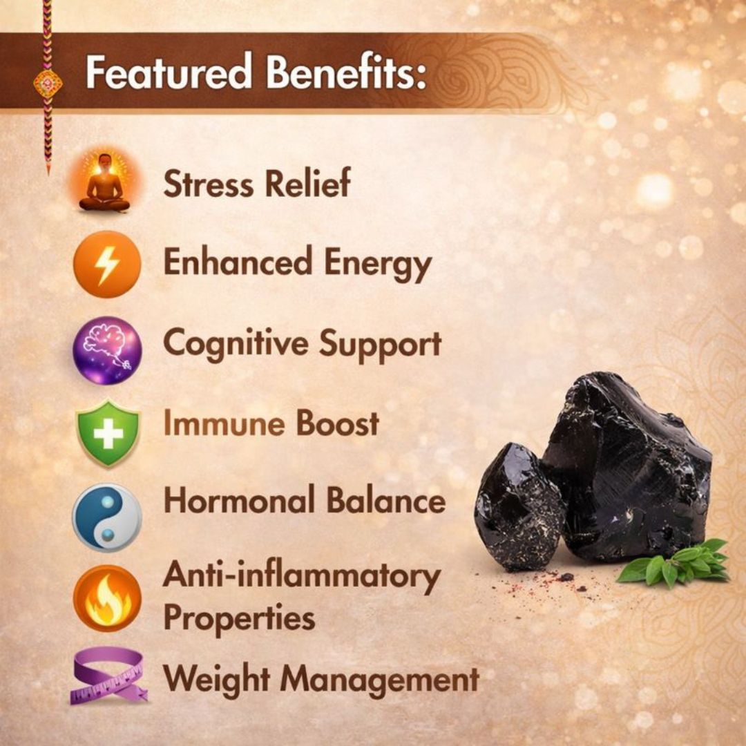 Shilajit Premium Extract Powder