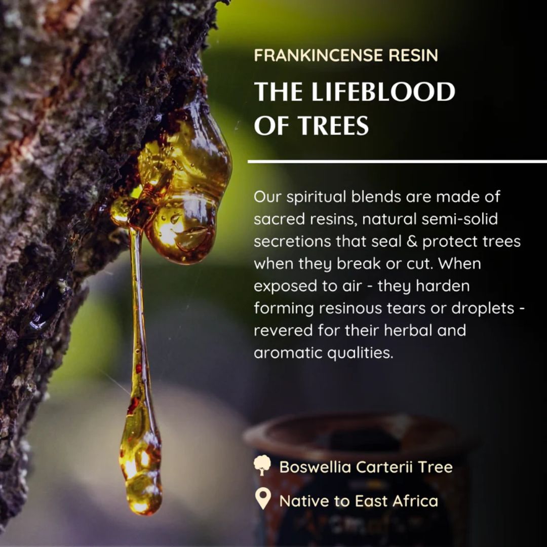 Frankincense resin from a tree with text about Boswellia Carterii Tree and its properties.
