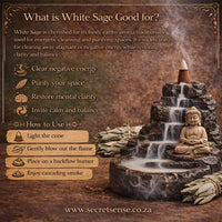Secret Sense White Sage Backflow Cones