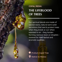 Copal Roll On Blend - Aromafume (6ml)