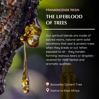 Frankincense Roll On Blend - Aromafume (6ml)
