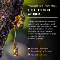 Frankincense & Myrrh Roll On Blend - Aromafume (6ml)
