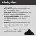 Infographic card listing active ingredients of Shilajit powder, including fulvic acid, amino acids, minerals, vitamins and trace elements.