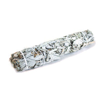 Large 22 cm white sage smudge stick bound with cotton twine