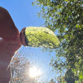 Moldavite Pendant in Sunlight – Revealing Natural Cosmic Beaut