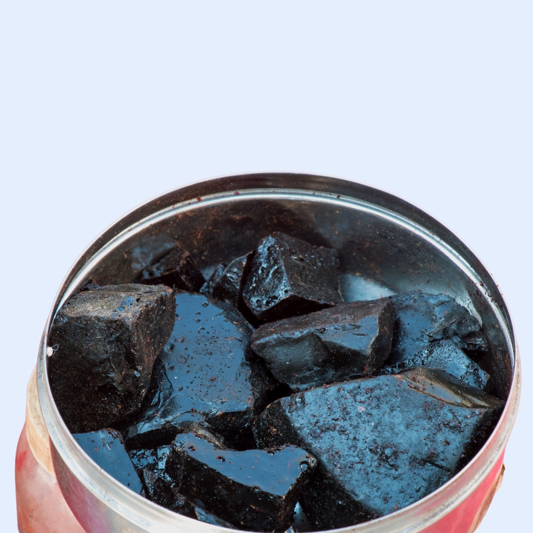 Open container showing solid Shilajit resin pieces with a glossy, dark surface.