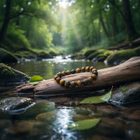 Tiger’s Eye Crystal Bracelet – 8mm (18cm) | Secret Sense South Africa