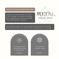 Aromafume Feng Shui Metal Natural Mist